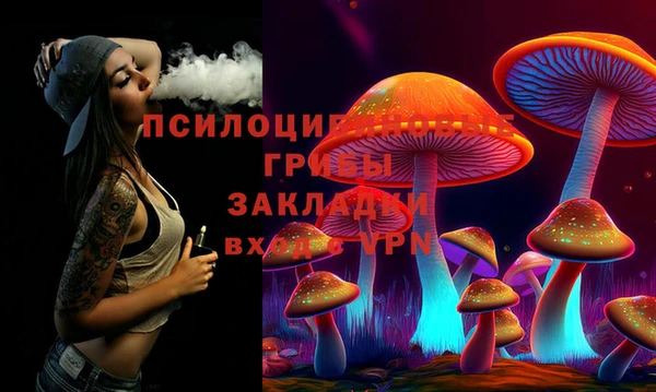 PSILOCYBIN Бронницы